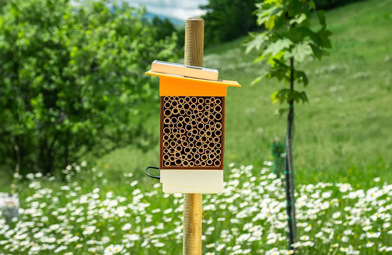 shutterstock_20306077