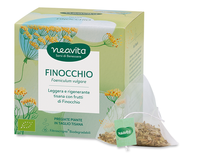 Finocchio