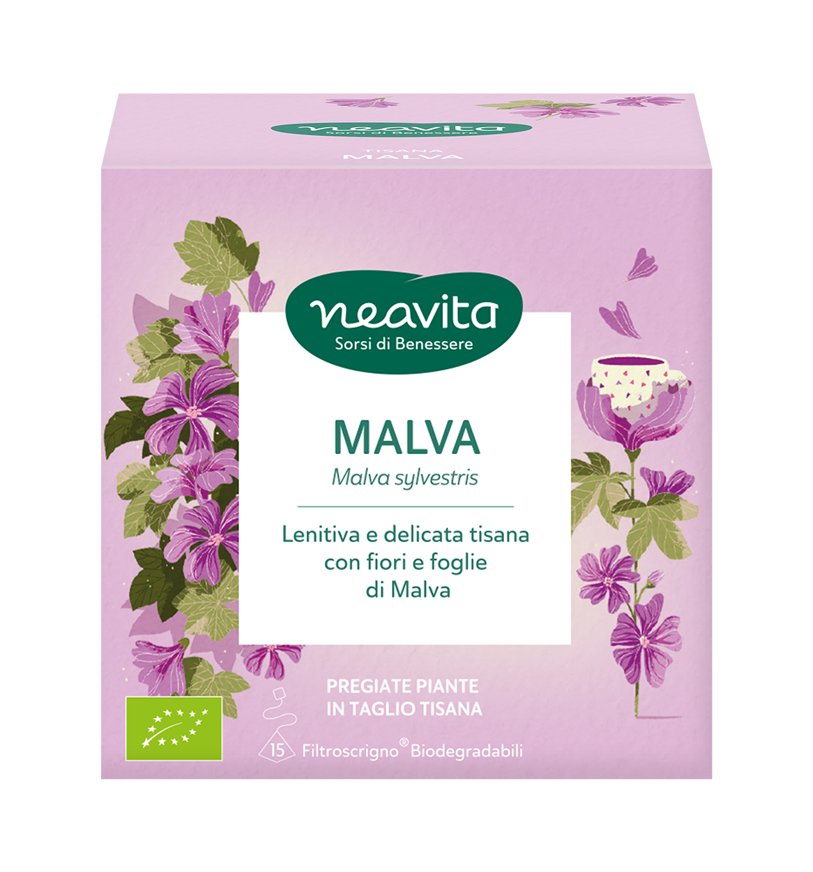 LOWRES-FRONT-MALVA-20260907 LOWRES-FRONT-MALVA-20260907