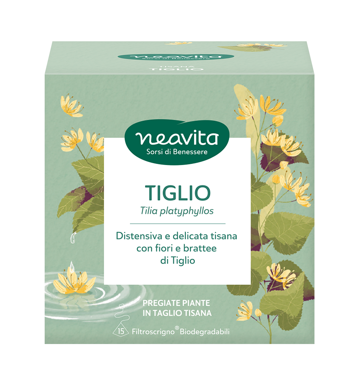 LOWRES-FRONT-TIGLIO-20260907 LOWRES-FRONT-TIGLIO-20260907