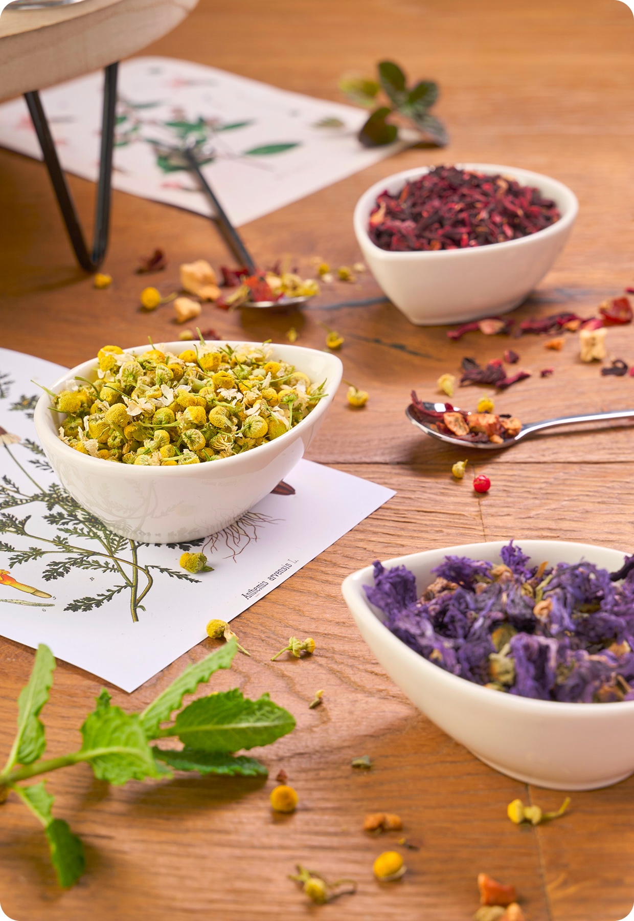 NEAVITA_APRILE_1391 4