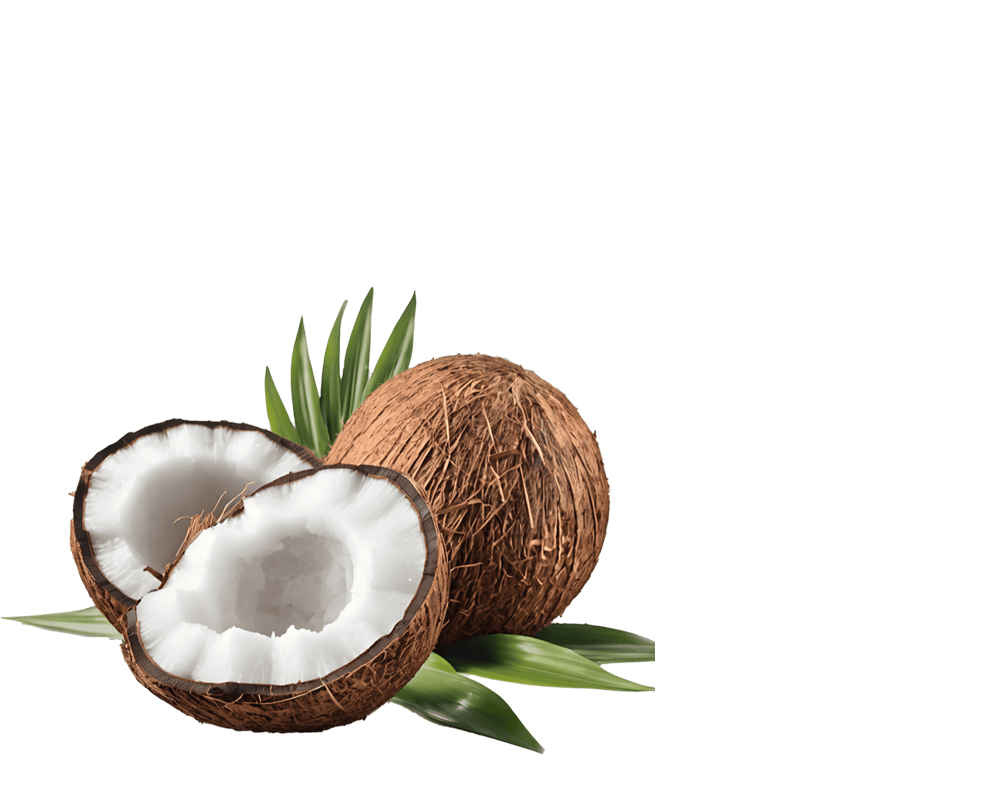 cocco-02 cocco-02