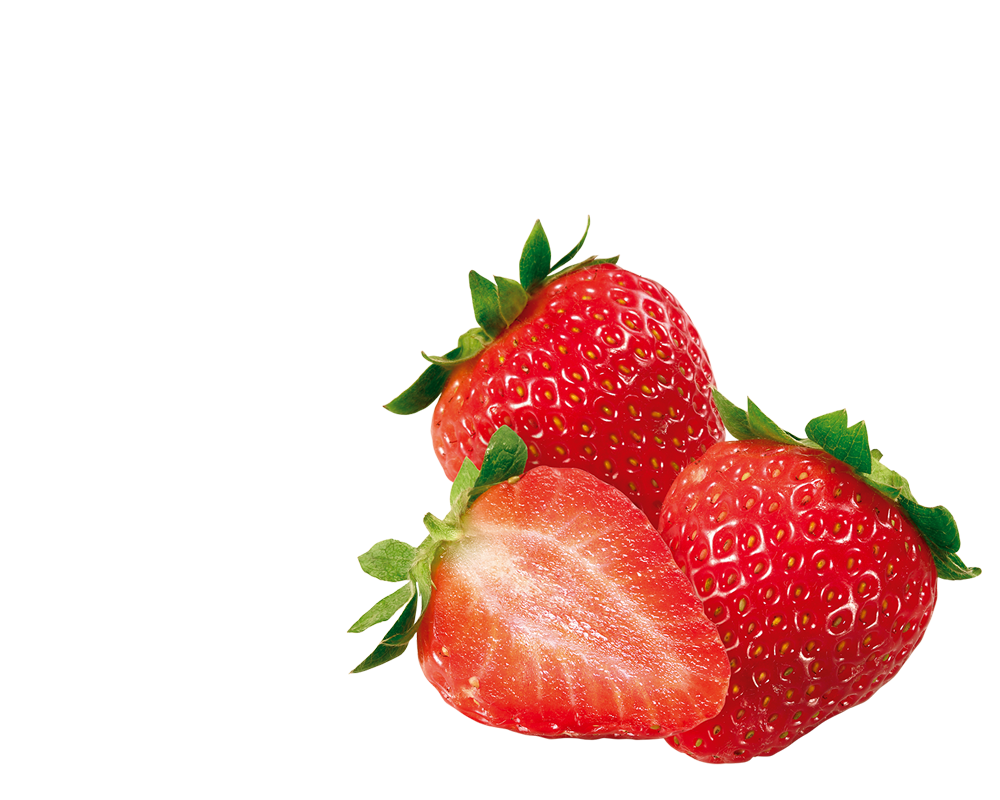fragole-sx