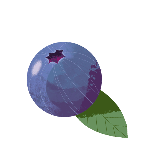 mirtillo_1gif mirtillo_1gif